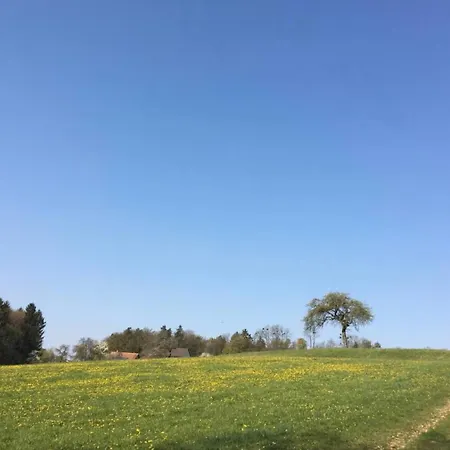 Ruhe Und Komfort Bei Tinyhouseanna *